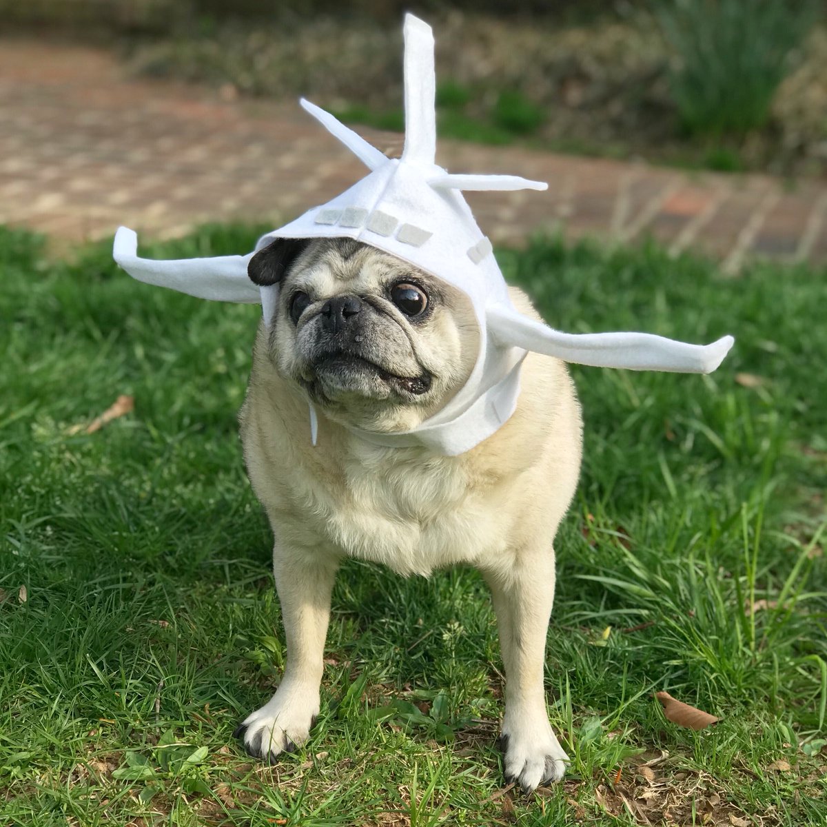 National #BusinessTraveler Day may have been yesterday, but we can still enter <a href="/NBTDay/">National Business Traveler Day</a>’s Dream #Sweepstakes until May 18th! Just head over to NBTDay.com to put your name in the running for thousands of #NBTDay prizes, including free “Pup in the Sky” #BarkBox! 🛫