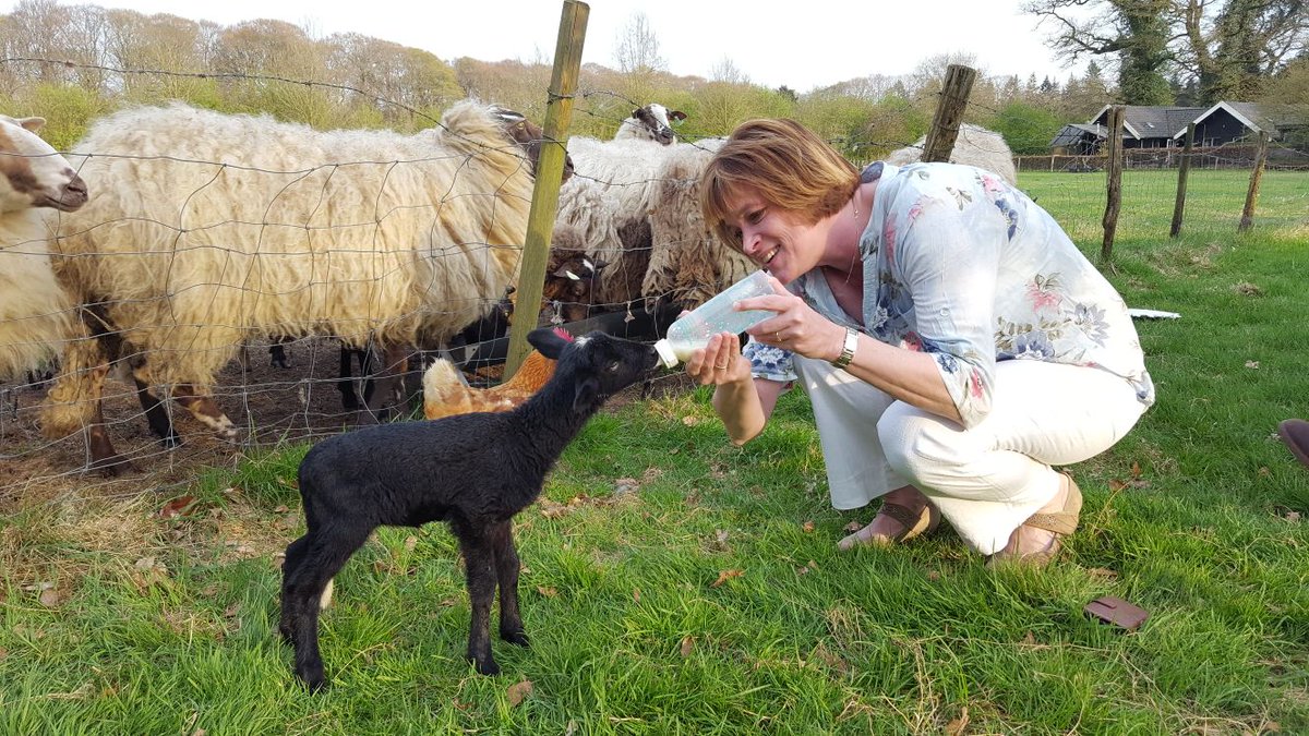 Mijn nieuwsbrieven teruglezen? Dat kan nu via: elvivanwijk.com/nieuwsbrieven/