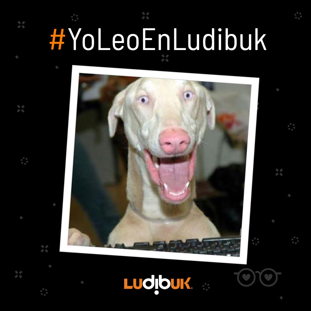 Ludibuk's tweet photo. Seguimos celebrando el #MesDelLibro con el concurso #YoLeoEnLudibuk para nuestros lectores:
¿Cómo? Sácate una foto usando Ludibuk y mándala a +569 3311 3648 con tu nombre y apellido, curso y colegio.  
*Para el profe que motive a más estudiantes habrá una tablet esperándolo* https://t.co/x2B9EUYsxu