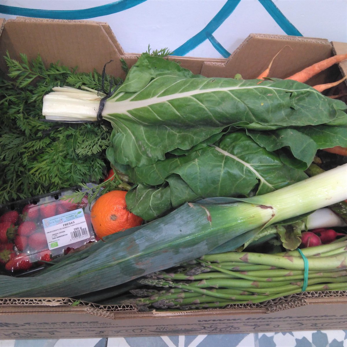 cometeelmar's tweet photo. Los #miercoles tenemos recogida de las cajas de verdura y fruta ecológica de @bioalverde Un proyecto cuyo fin es la inserción socio laboral de personas en exclusión social así como promover un consumo responsable y sostenible. #verdurasecologicas #ecologico #comerciojusto #Triana https://t.co/XwFGG1wR6M