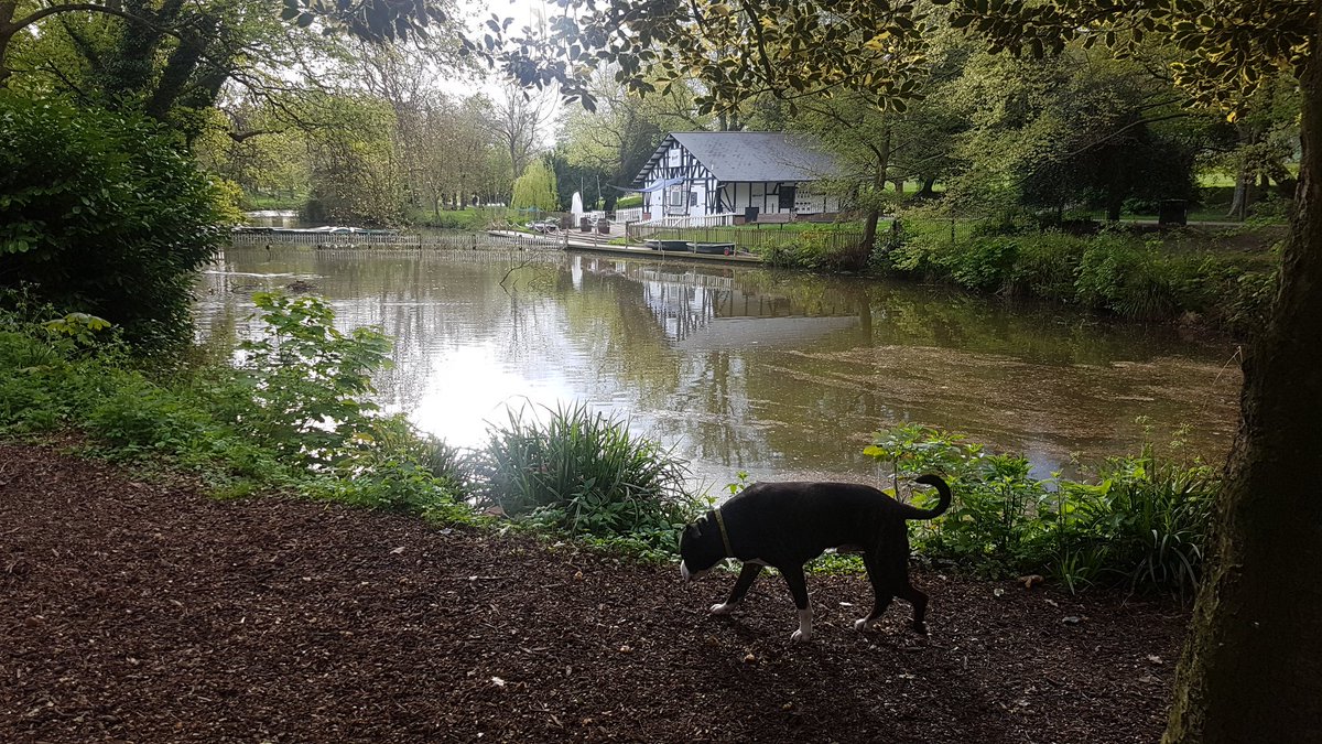 Ollie's Lock & Safe tweet media