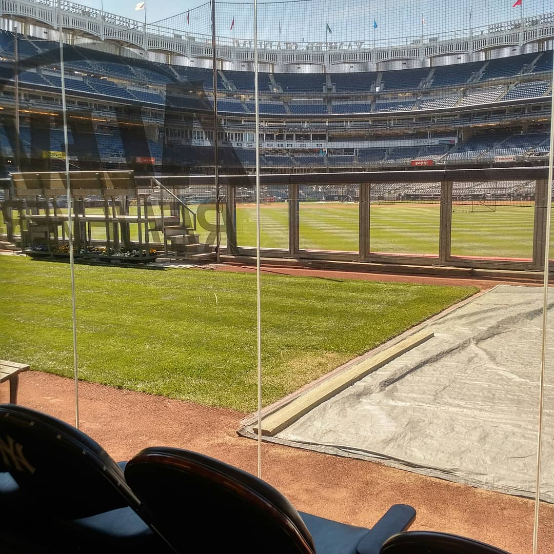 NancyNewmanYES's tweet photo. #BullpenViews #YankeeStadium #Yankees #RelieversLife #Pitchers -- Spring flowers blooming beneath the benches #LoveThisGame https://t.co/Q7wMkB3S1V