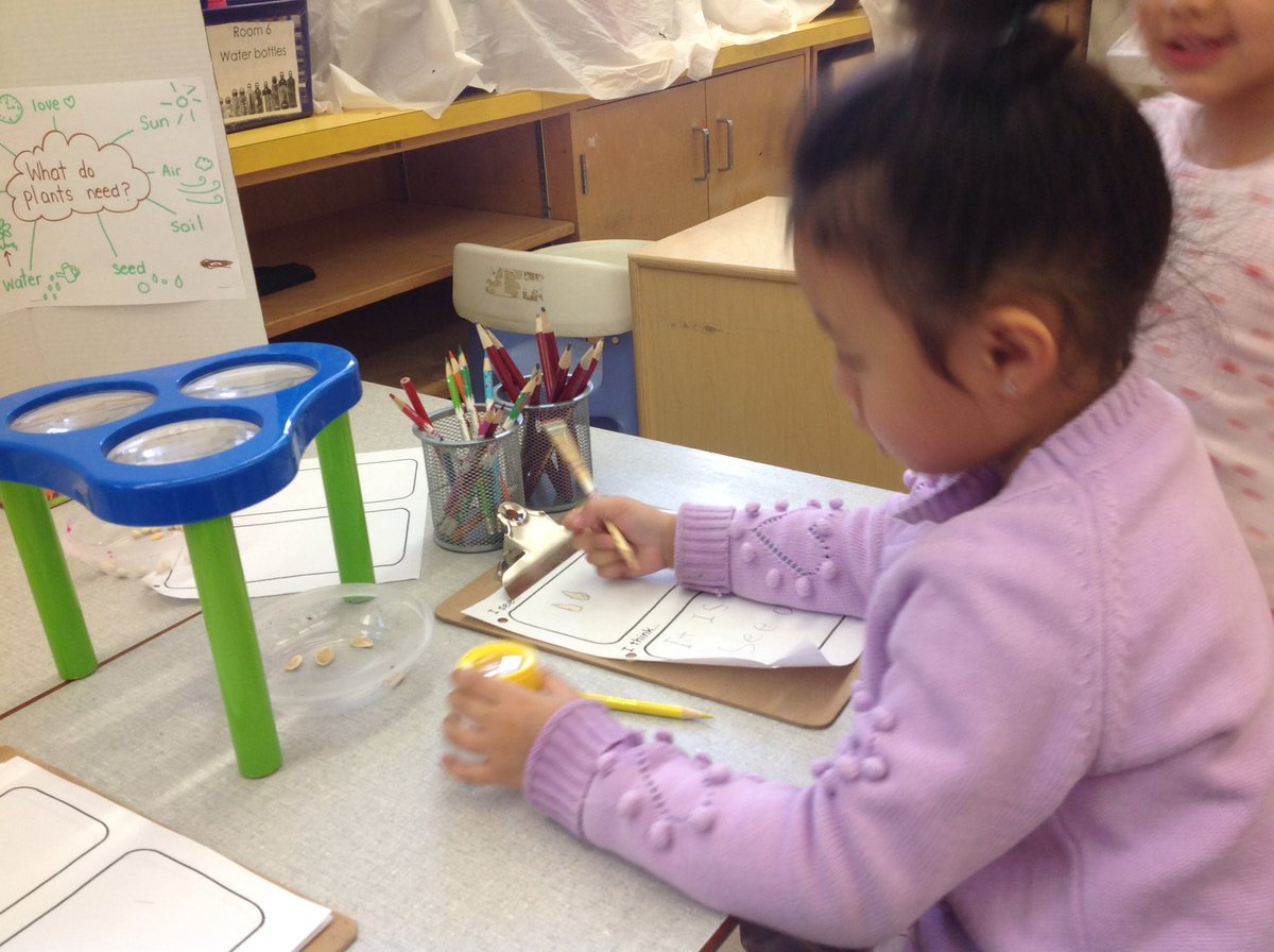 OgdenRoom6's tweet photo. Now that it is spring, our plant inquiry has started. Take a look at what we are exploring https://t.co/X8qk4qSAnz