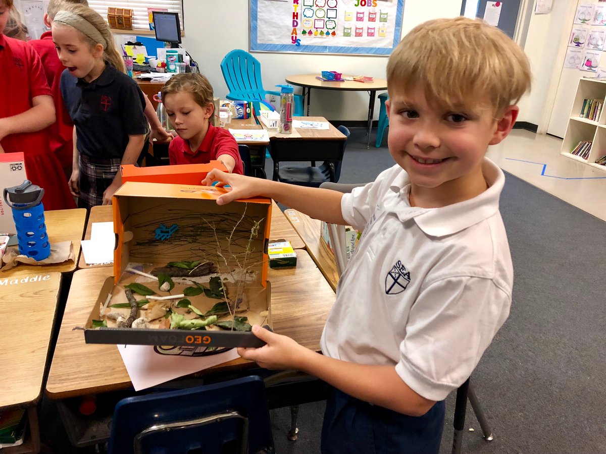 SEA_Today's tweet photo. 2nd Grade has been working on an insect unit in Science and used Minecraft to create an insect print on the 3-D Printer. They then put it into a diorama and did a presentation. STEAM at work. https://t.co/U2vNh9h2Tc