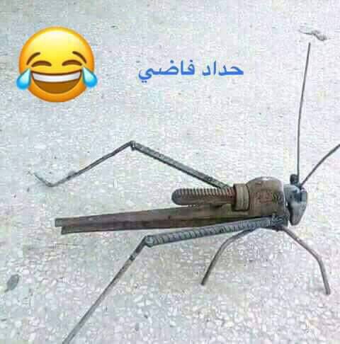 hamd303's tweet photo. حداد فاضي مامسك عماره https://t.co/GkjIotHTIh