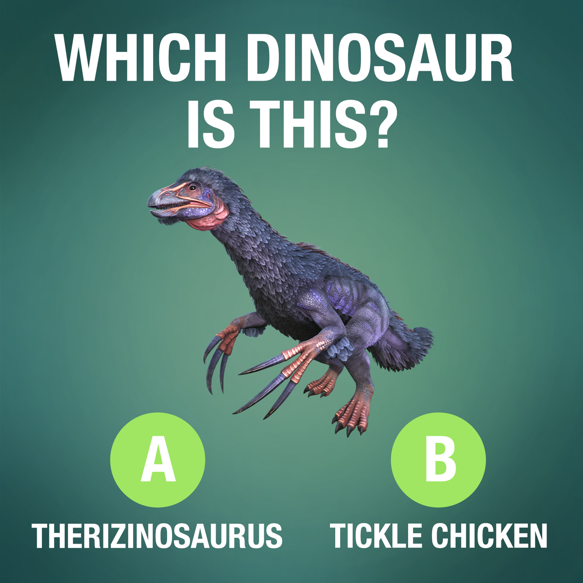 Dododex 🦤 tweet media