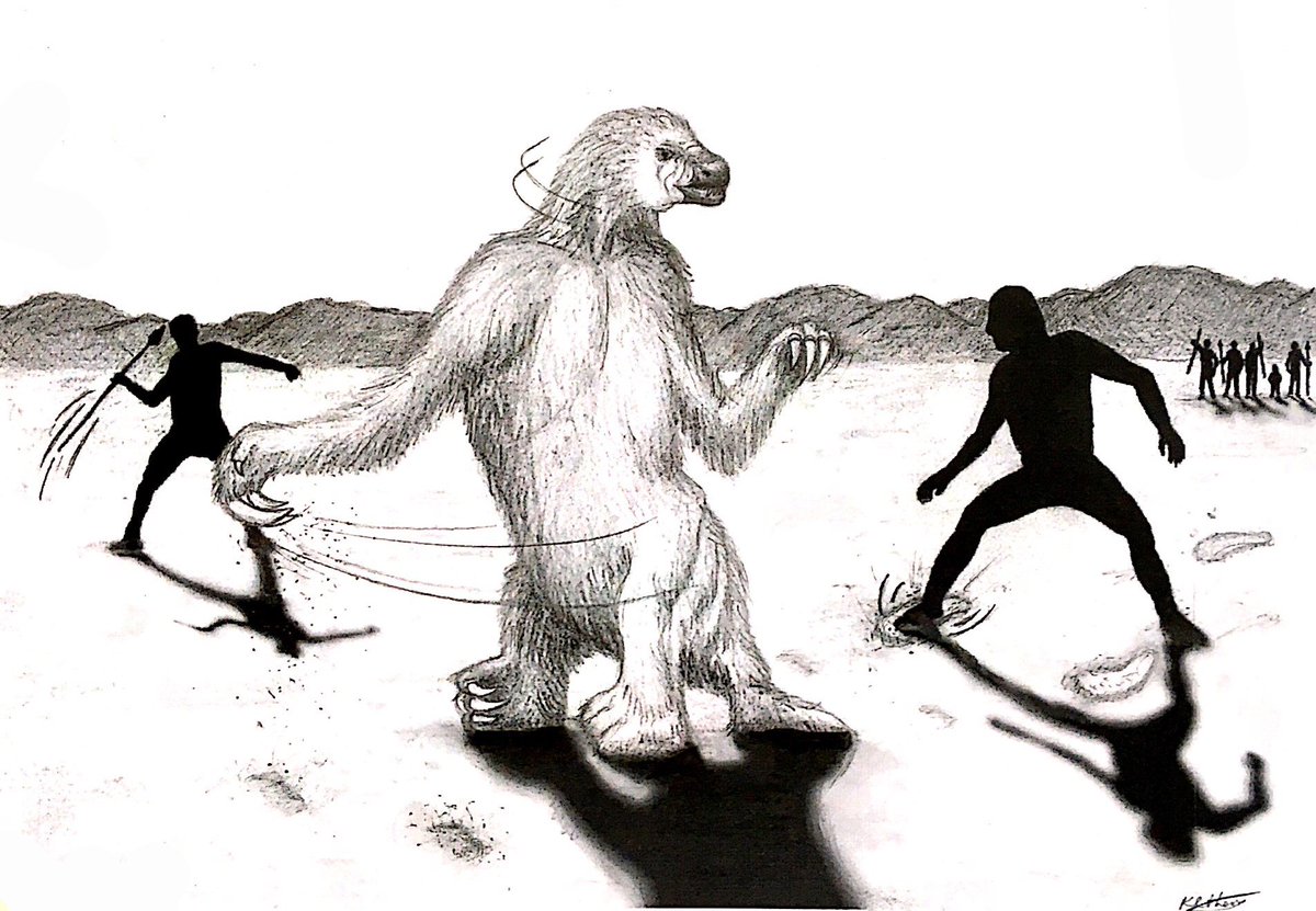 SallyR_ISLHE's tweet image. IT's out!!!! Footprints preserve terminal Pleistocene hunt? Human-sloth interactions in North America.  See link below!
advances.sciencemag.org/content/4/4/ea…