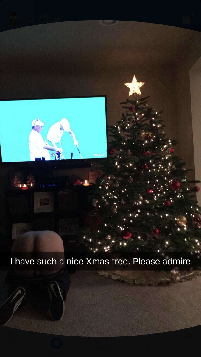 MisterFast3's tweet photo. My Christmas tree last year was on point! Can’t wait to make it even better this year!! My good buddy Trenton helped with the decorations!! https://t.co/lXnzLMmEDU