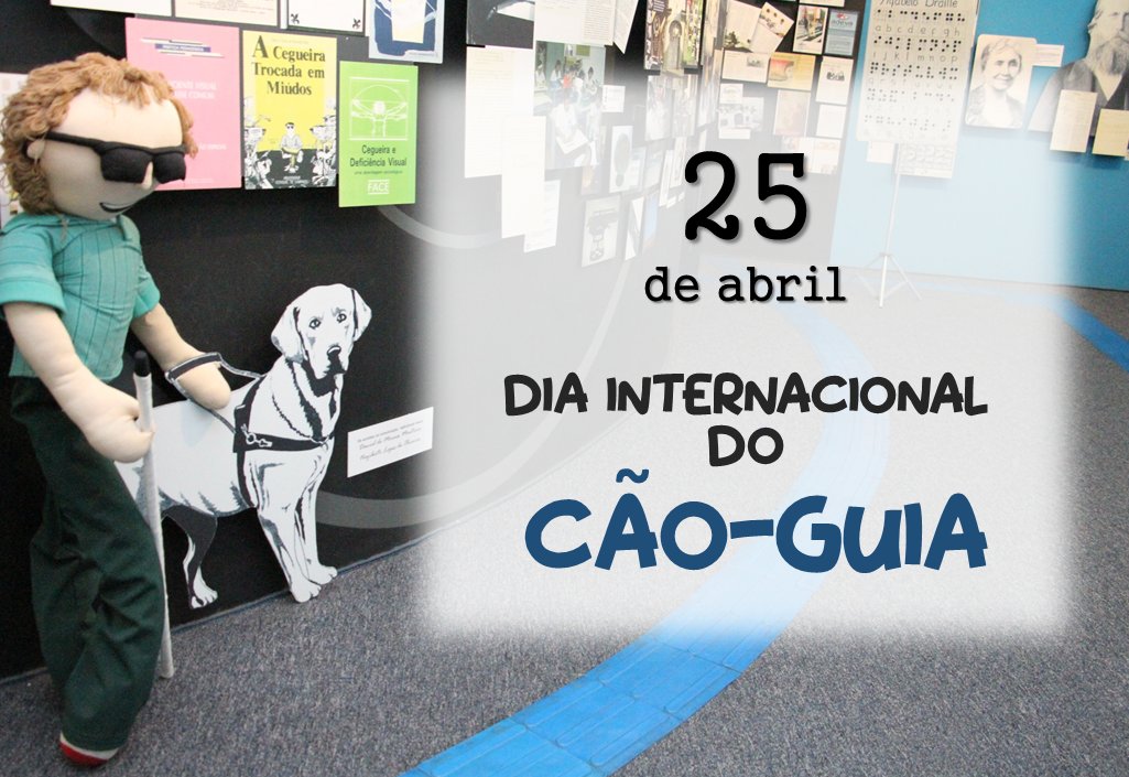 museudainclusao's tweet image. #Diversidade #CaoGuia #Cego