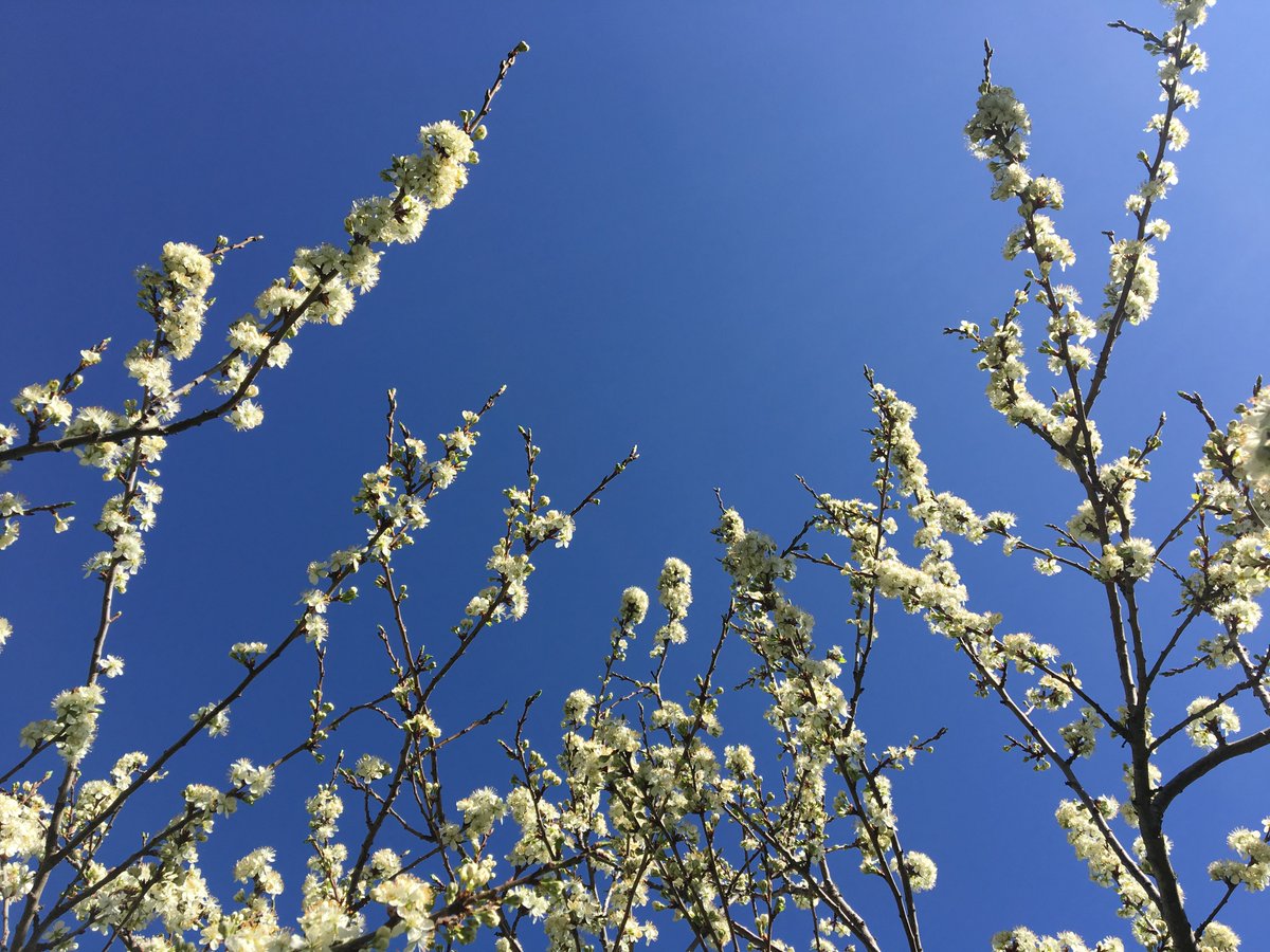 UndiscoveredMtn's tweet image. Spring has officially arrived in the Southern French Alps - and it is glorious! 
Time to think about your next holiday! 
buff.ly/2pRe8P0
#PureAlpes #Purefun
