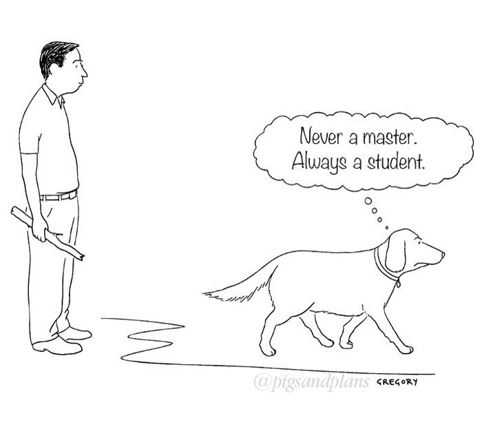 DbpczMnWAAAPnEC?format=jpg&name=900x900