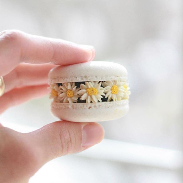 Sendomatic's tweet photo. Happy Spring! Feelin' the love from this #macaron today. 

 #hellomissmay #peoplescreatives #flashesofdelight #thehappynow #livethelittlethings #creativeaffairs #partyideas #invitations #partyplanning  #partypeople #partydecor #partyinspiration #partyplanners #cookies https://t.co/FuR5YxteZw