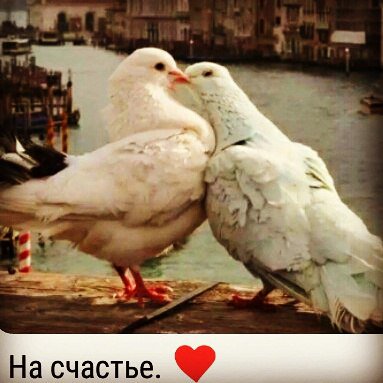 Друзья приглашаю!!!
vk.com/id462078015