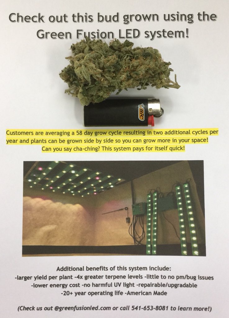 greenfusionled's tweet photo. Check out this Cherry Kush bud grown using the Green Fusion LED system! Can you beat this bud? @greenfusionled #budchallenge #cannabis #CannabisCommunity #HighTimes #CannabisNow #DOPE_Magazine #MJBizDaily #ouncearkansas #CannabisNews #ledgrowlights #producedbygrowers4growers https://t.co/ple4xfon4M