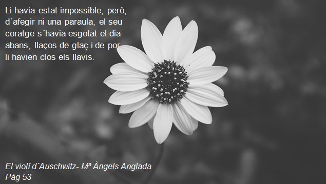 marionsjorba's tweet photo. #ElVioliDAuschwitz de #MAngelsAnglada @SomLesMiles @sicafe https://t.co/xRySNT5Mty