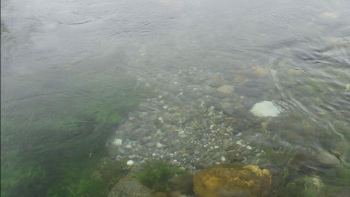 _rifflebox's tweet photo. Videos: Don’t Fish to Spawning Trout! https://t.co/PFfKCugxR5
#flyfishing #troutbum #theriffleflycompany https://t.co/chR2gIMP5Z