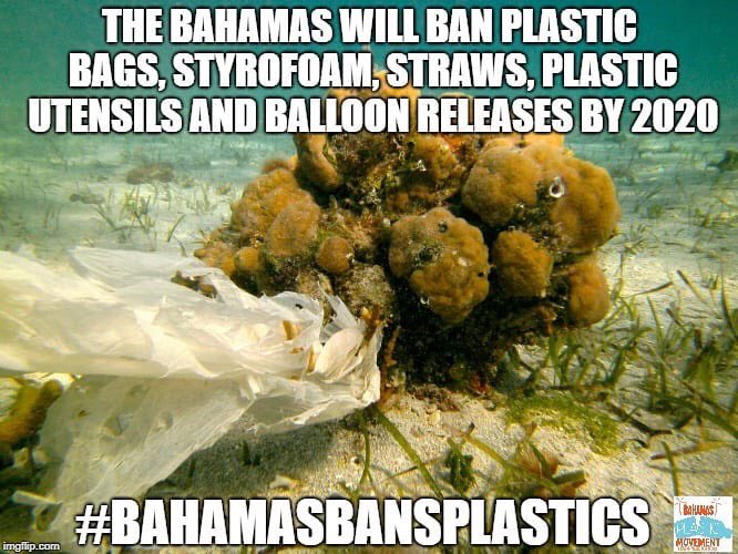 BahaNick's tweet photo. Proud to be Bahamian: Bahamas to phase out single use plastics by 2020 https://t.co/AJWjkJIAax Well done @bahaplasmvmnt https://t.co/TKfZis2IJM