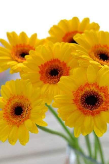 드루킹에 신경쓰지 말라
국민들은 관심없다