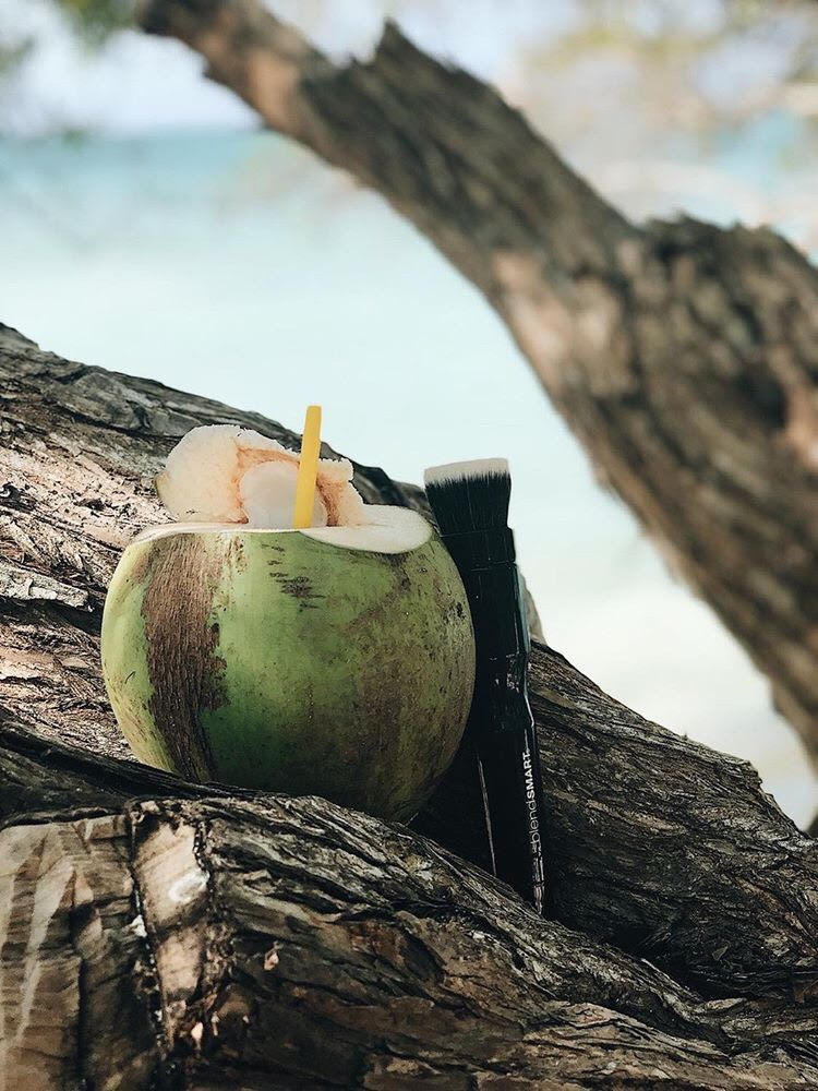 blendsmart's tweet photo. What is your next Dream vacation?.
Our products are travel friendly 🛫Save space with our all in one rotating makeup brush 😍.#blendsmart https://t.co/C81s7YLwAr