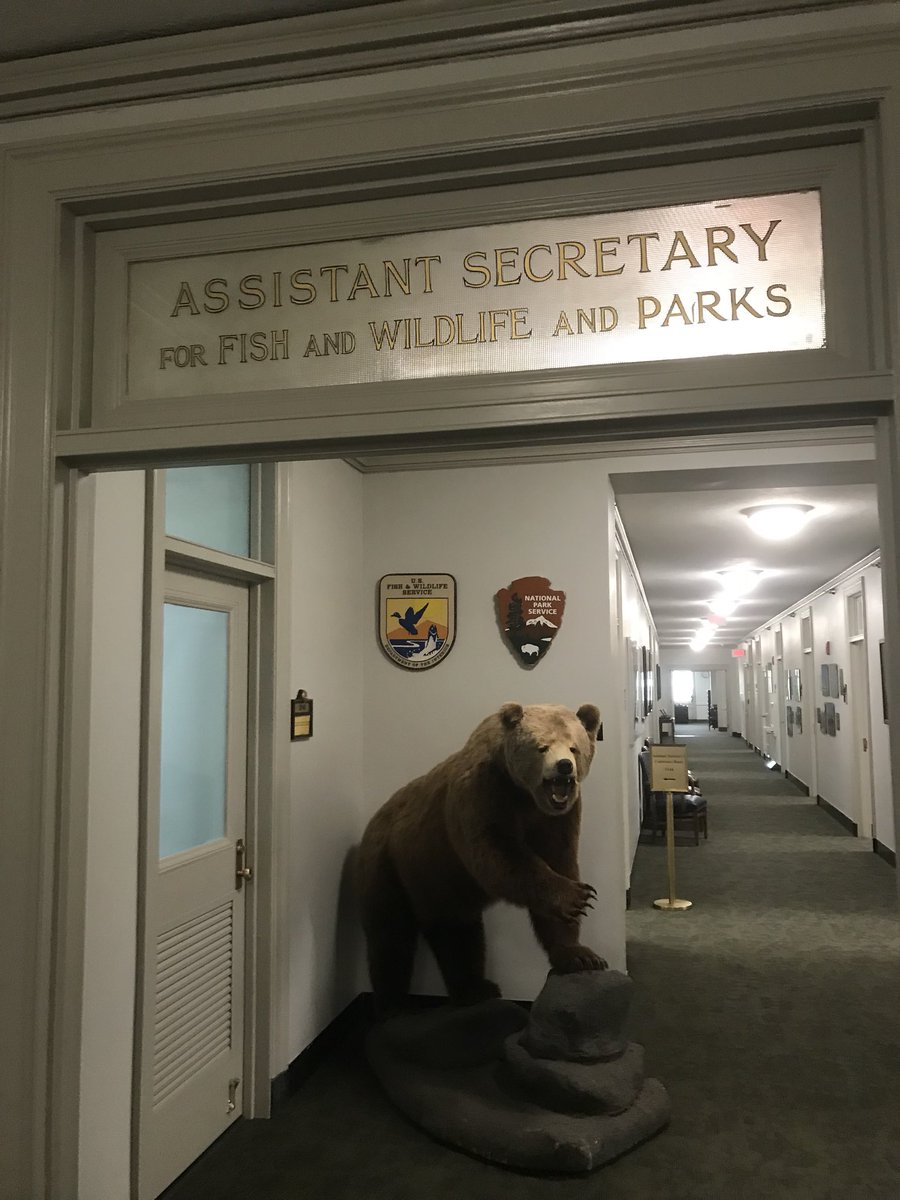 ci_foundation's tweet photo. While there is an opposing and formidable looking bear at the entry; our visit was very productive at @Interior and @NatlParkService and I was very impressed with the level of cooperation, enthusiasm and encouragement we encountered #americasbestidea #fixourparks #parksandtech https://t.co/zFfcdmUhdW