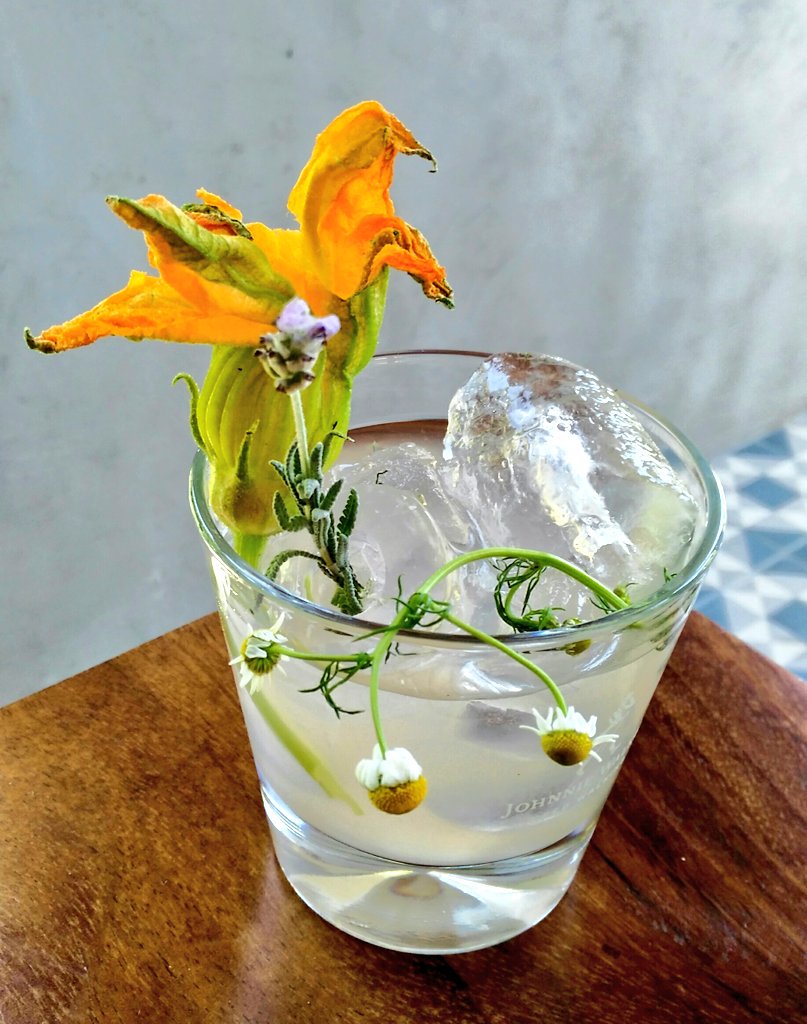 ElixMorgana's tweet photo. Estoy en taller de #coctelería para @PlayboyMX y el trago que inventé se llama "Jardín híbrido"; base cítrica de toronja, base dulce de mermelada de durazno, albaricoque y rosas, y base de alcohol de Tanqueray... #PlayboyDrinks #WorldClassMx https://t.co/nl40i5pyXZ