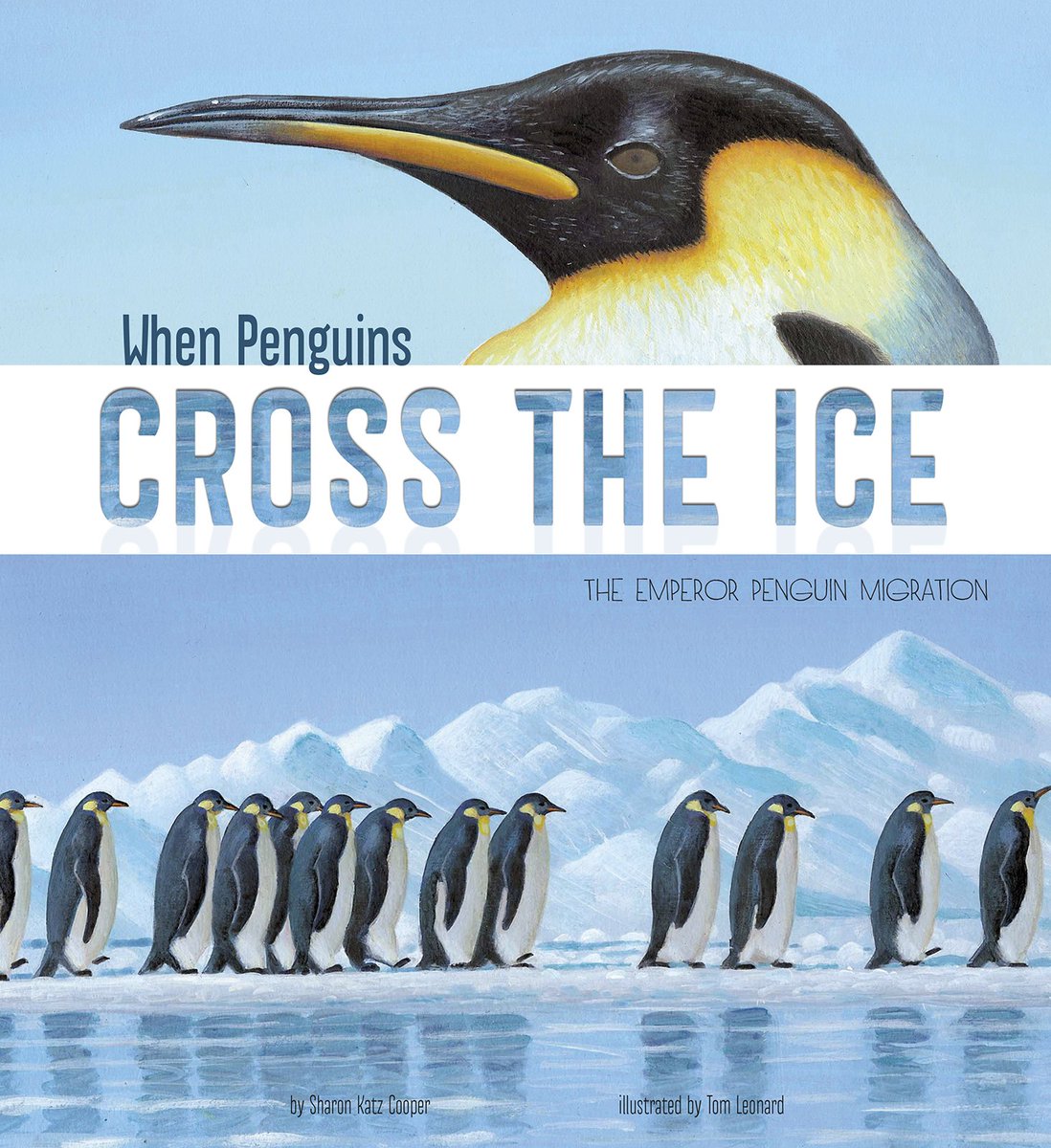CapstonePub's tweet photo. Happy #WorldPenguinDay! How are you celebrating the cuteness of our amazing feathered friends? #KidLit #PebblePlus #HelloGenius #PenguinDay https://t.co/hE6QnErySb
