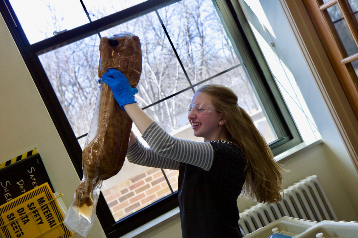 Mrbiology15's tweet photo. My CIS Anatomy and Physiology class got to join in on the fun today! #CatDissection https://t.co/3ITkHNFuuE