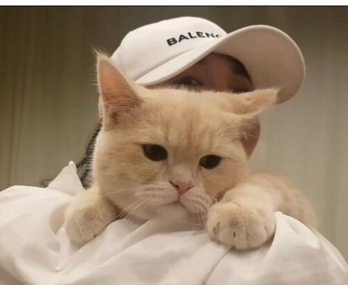 wynnsudlhor's tweet photo. @mejixpinky คนขี้อวดของผม ผมก็เขินเป็นนะเอาผมมาออกกล้องแบบนี้ เหมือนโดนเปิดตัวแฟน https://t.co/peBmcTqHpb