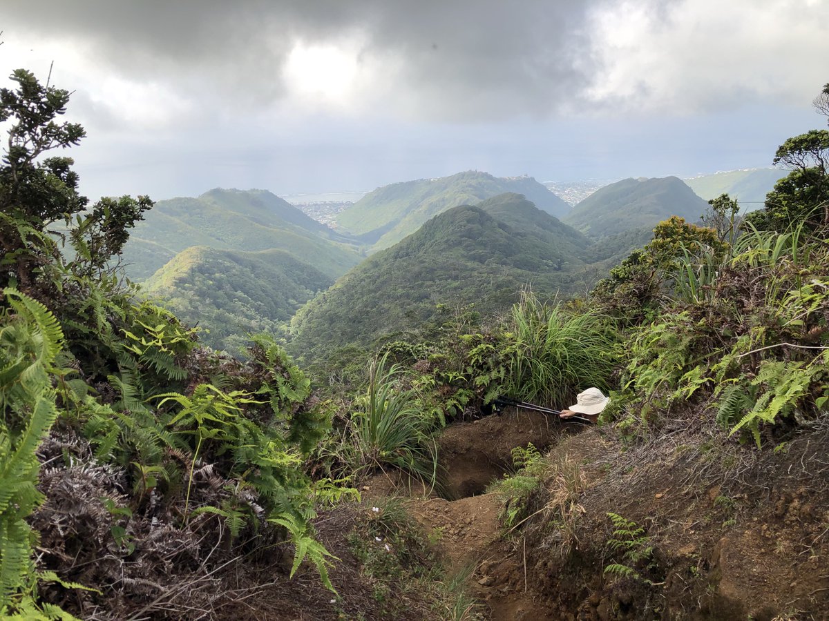 Christine Hartmann tweet media