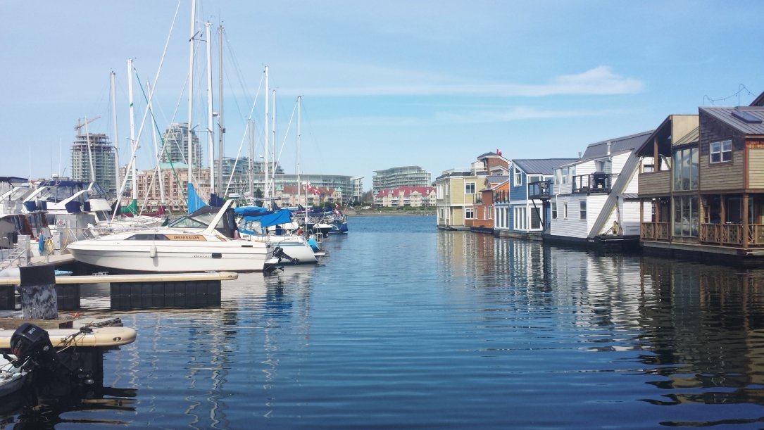 We GUESS you could sit inside on a day like today, if you really wanted to. Or you can sit outside & enjoy the view down here at #FishermansWharf! You might want to get some of our tasty food too. 🌞

#explorevictoria #floathomes #foodwithaview #vancouverisland #victoriabc #yyj