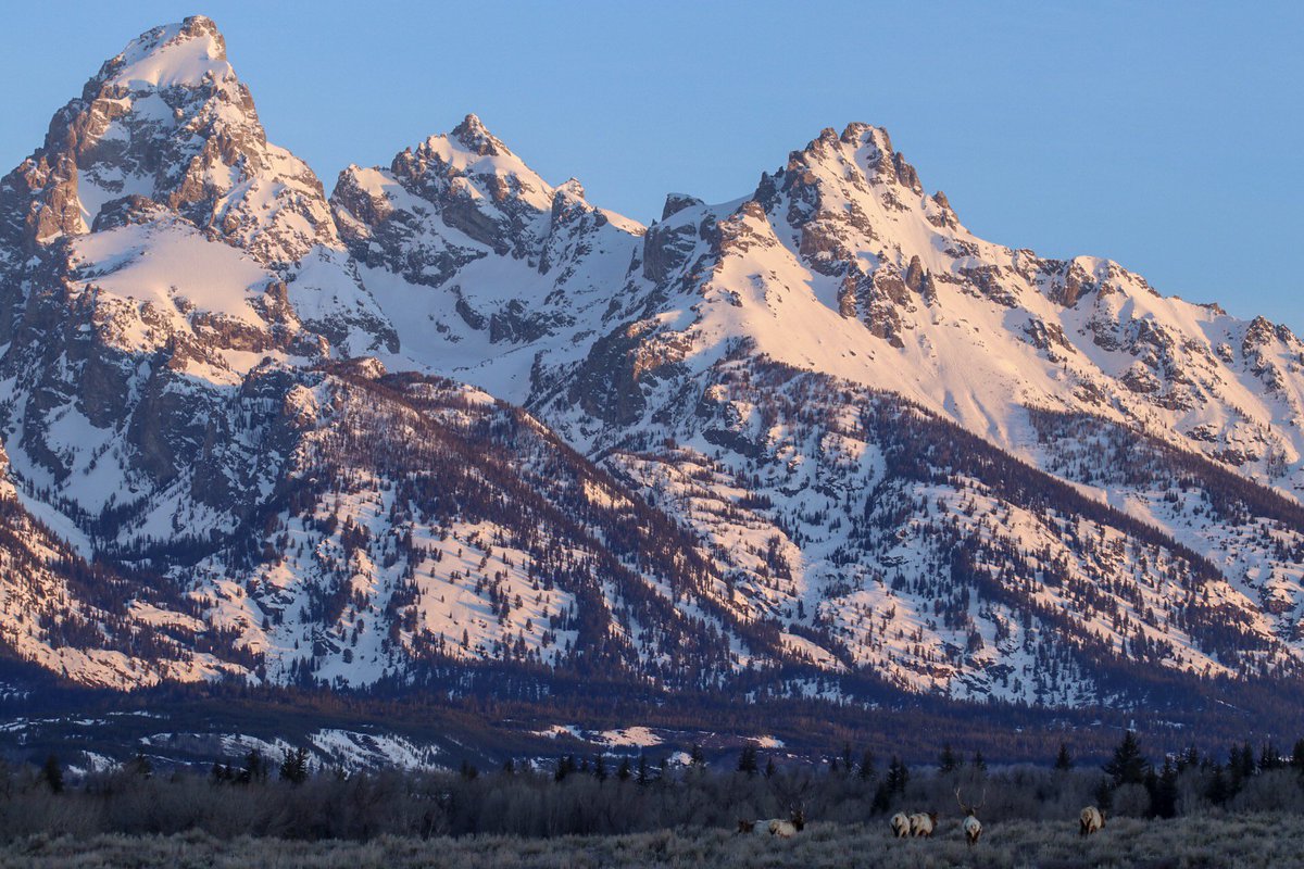 First light, today in the Tetons. #jacksonhole #JHdreaming #findyourpark