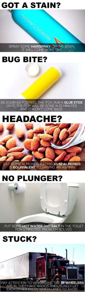 CoolShitBiz's tweet photo. Great Things To Know! https://t.co/VZjSRp216v