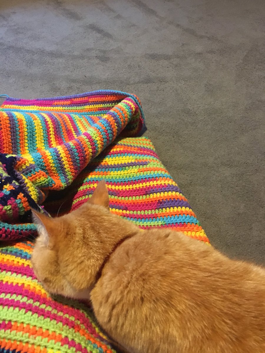 the_only_abi's tweet photo. 😍 #secretcommission #crochet https://t.co/4MDQSJr0Zo