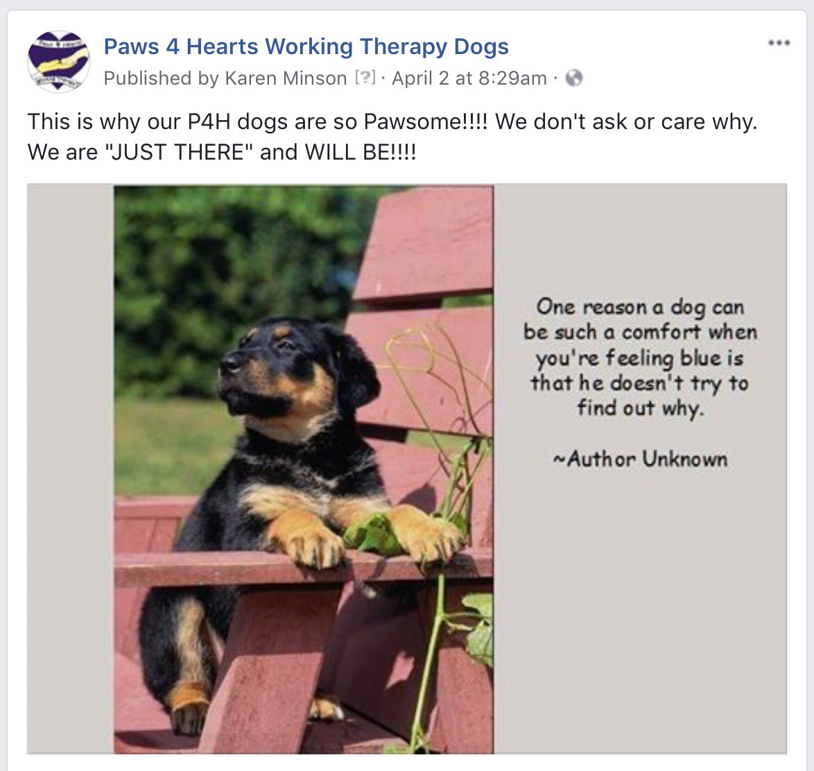 Paws4HeartsWTD's tweet photo. https://t.co/WKOh7WQKlh