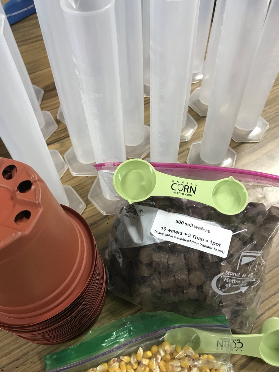tong2tarnold's tweet photo. Today our 3rd graders had the opportunity to explore the process of planting corn using different soil types. Thank you #KansasCornSTEM @kansascornSTEM @kscorn https://t.co/jEF4U13xjw