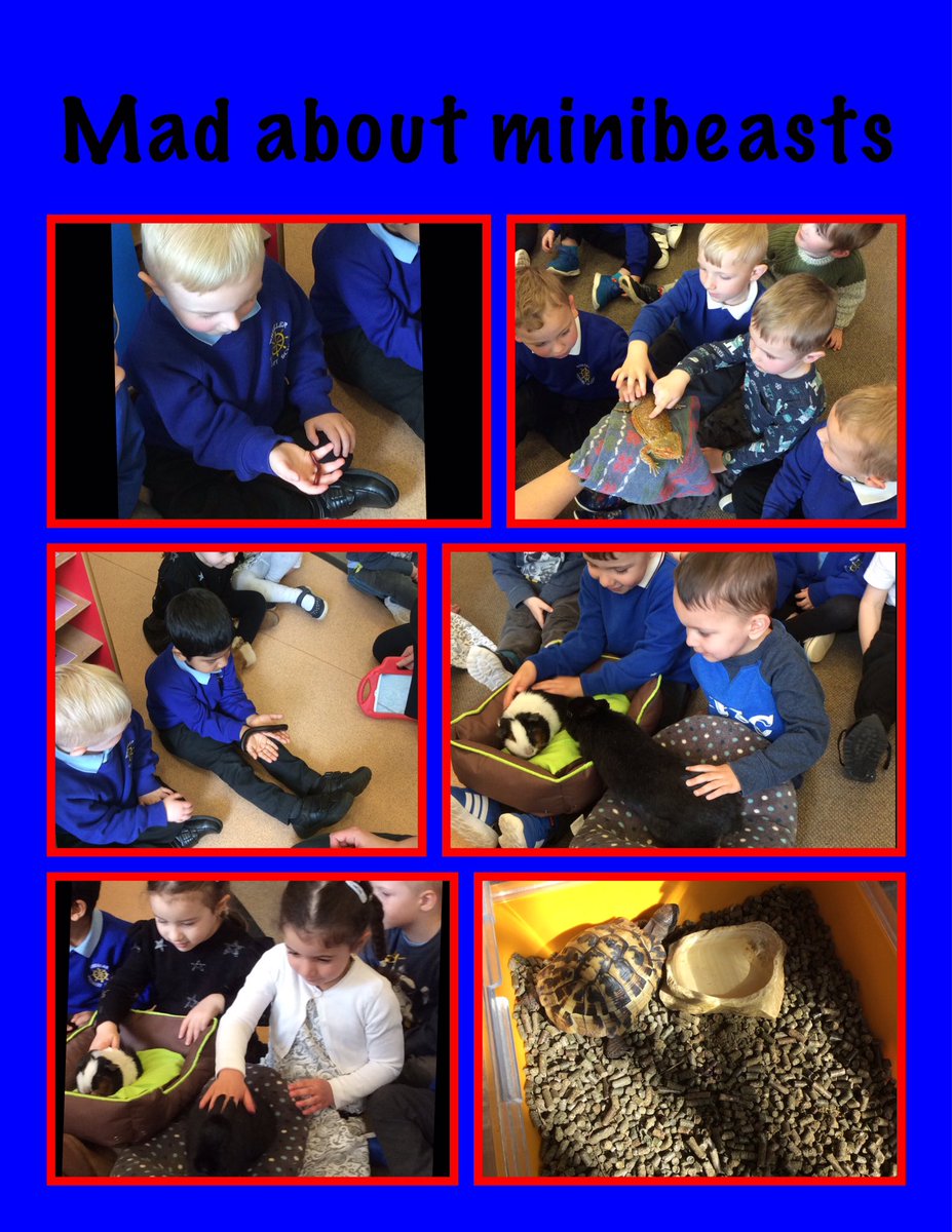 Wheeler_PS's tweet image. As part of our 'mad about minibeasts' topic this week we had some very exciting visitors to red base #minibeasts #redbase #foundation