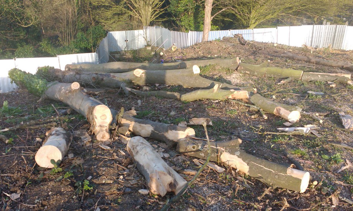 Camberwell Cemeteries tweet media