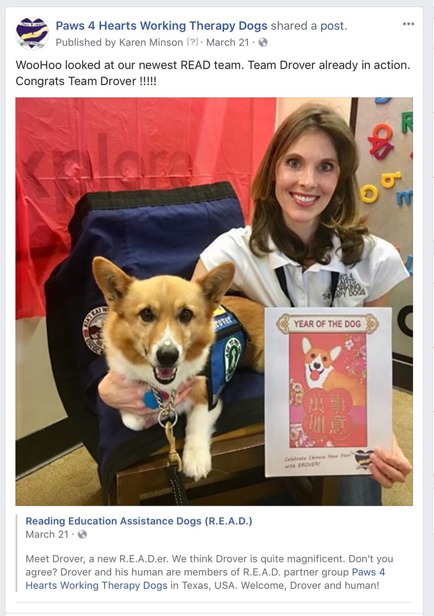 Paws4HeartsWTD's tweet photo. https://t.co/2LUcCUouia