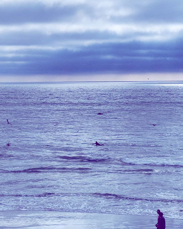 noaddressreqrd's tweet photo. If you look reeeeeally closely, you can see a dolphin tail. ๐
.
.
.
#delmar #dolphins #pacific #thatcalilife #beachlife #rvlife #urbanrvfamily https://t.co/mxXsJUznc9 https://t.co/VNfDUbFpKB