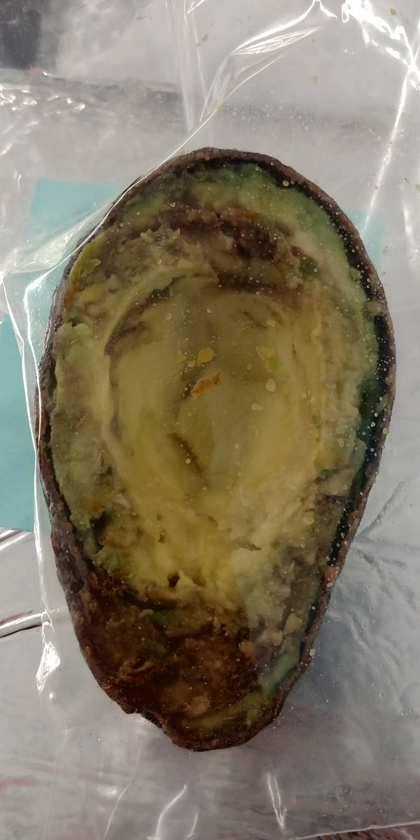 CarmichaelMortn's tweet photo. Here's one of the experiments from today's High Altitude Balloon launch. The avocado half in better shape went up on the balloon, over 77,000 feet! #HAB2018 @OPSMortonMagnet https://t.co/cD3BgMhWhZ