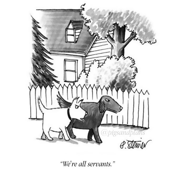 Dbpy-8EX0AMa5QN?format=jpg&name=900x900