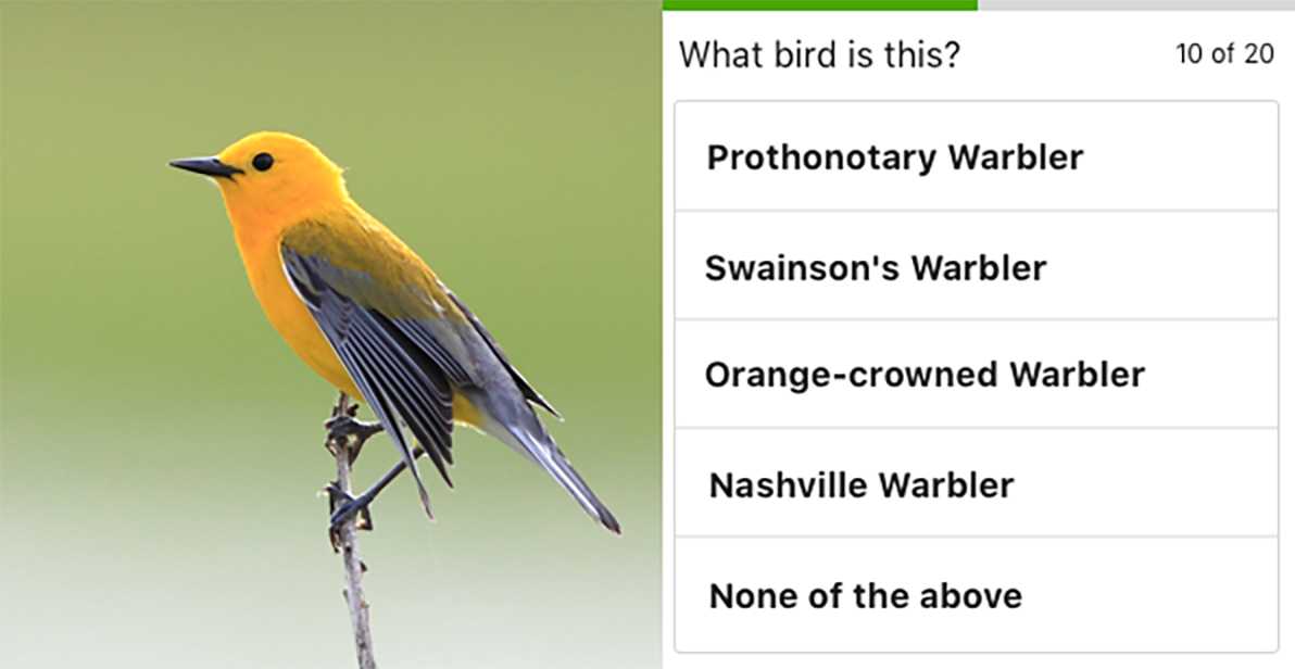 Team_eBird's tweet photo. #eBird and the @MacaulayLibrary have a fun &amp; useful new tool: the eBird photo + sound quiz. Have fun while practicing your bird identification! Warning: your spare time may never be the same. https://t.co/P91pVzszhn https://t.co/24AngKyVSg
