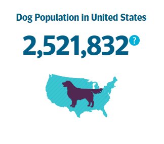 There's over 2.5 million dogs in the United States. Can you guess what the most common breeds are? Click here to find the answer: banfield.com/state-of-pet-h…
