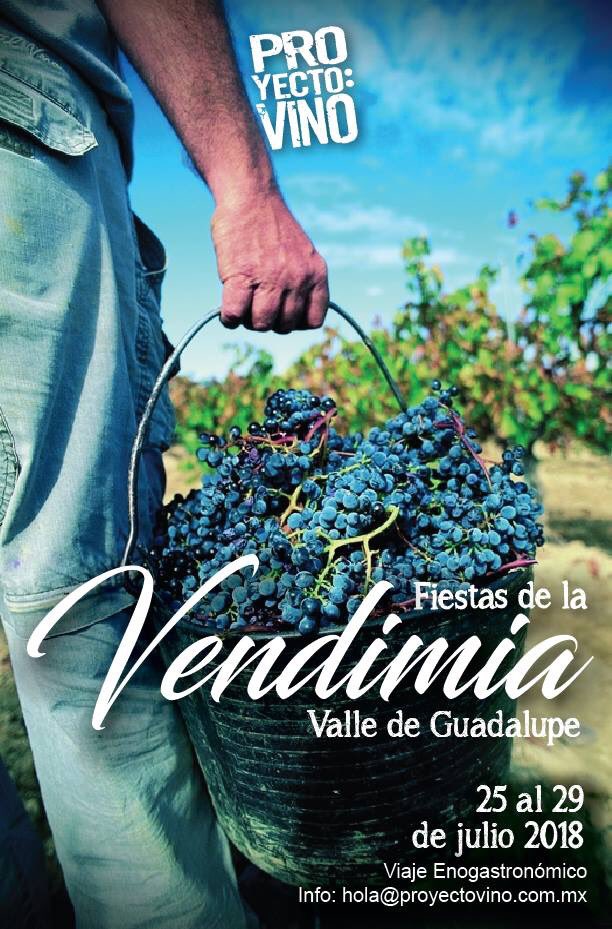 ProyectoVino's tweet photo. La vida es muy corta como para que te pierdas las fiestas del Vino más grandes de Latinoamérica #FiestasDeLaVendimia2018 #ValleDeGuadalupe #ViveElVino con #ProyectoVino #ElEnoTurismoDeMéxico https://t.co/uadwsifxPO