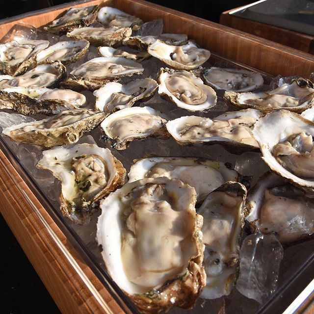 Yes, all the oysters. And then some more.