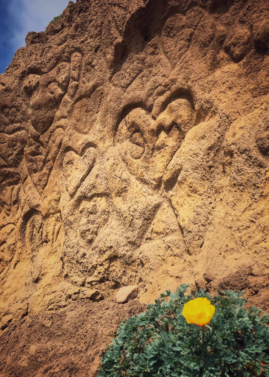 Cupid’s Wall, @thetimbercove @InsideSonoma #SonomaCounty #sonomacoast #timbercoveresort
