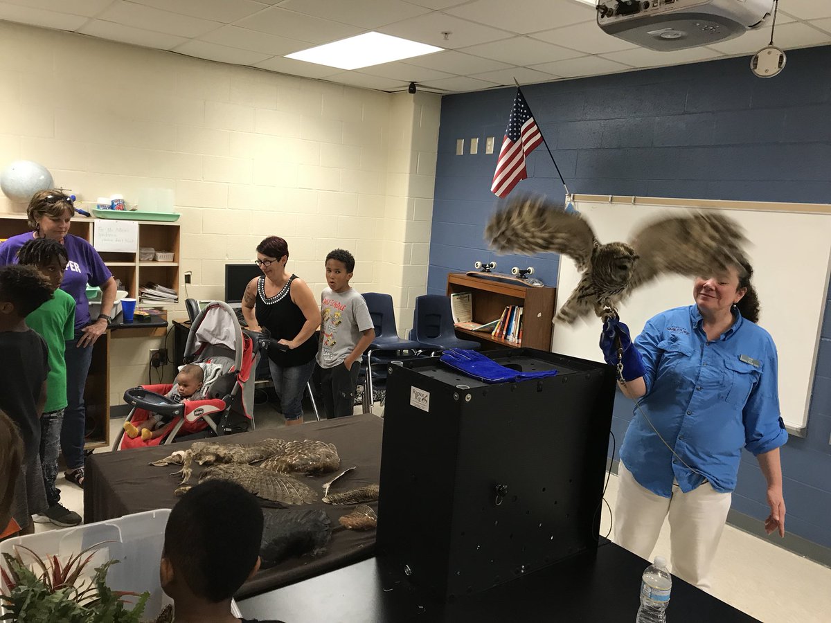 cabsher0's tweet photo. Building Sandlapper family bonds! Thanks to everyone who came out to Math and Science Night! @SEstarsR2 https://t.co/gqRRuQaXSz