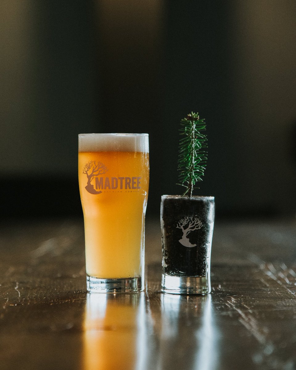 MadTreeBrewing's tweet photo. Drink Trees, Plant Trees to help reforestation efforts! We're giving away over 6,000 tree saplings throughout Ohio, Kentucky, and Tennessee this week. Find participating locations online https://t.co/Xe2l4VGpiG. #drinktrees #craftbeer #arborday https://t.co/p5GNPCLzdT