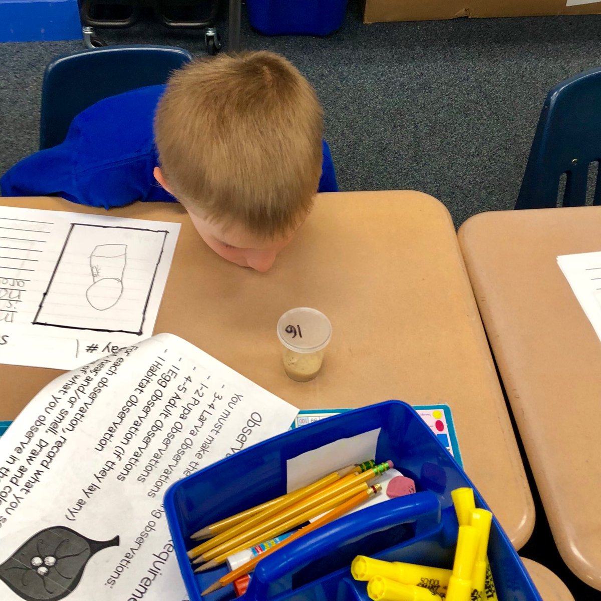 emiller2ndgrade's tweet photo. Our caterpillars are just a little bit exciting!!!!!!!!! 🐛 @HWESPatriots #WEareLakota https://t.co/G3nZVCbInc