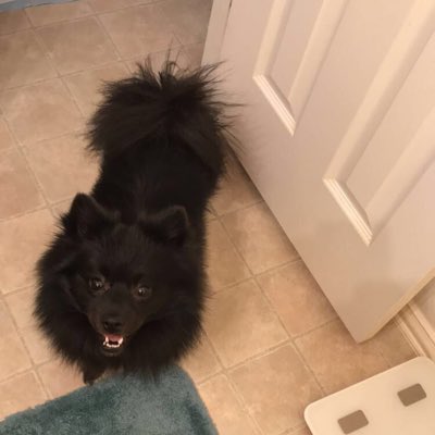 TitoPom's tweet photo. #NewProfilePic https://t.co/O7NVVLNga5